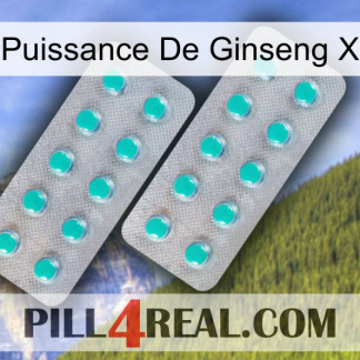 Ginseng Power X 29
